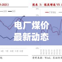 電廠煤價最新動態(tài)，今日價格分析與趨勢解讀