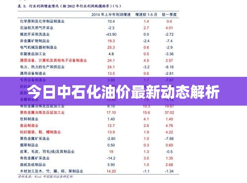 今日中石化油價最新動態(tài)解析