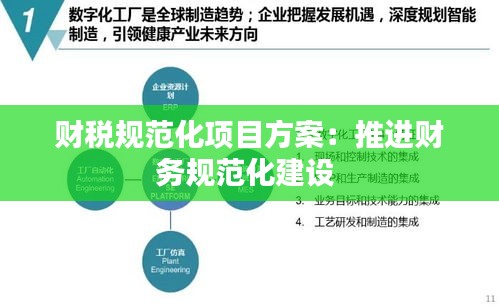 財稅規(guī)范化項目方案：推進財務(wù)規(guī)范化建設(shè) 