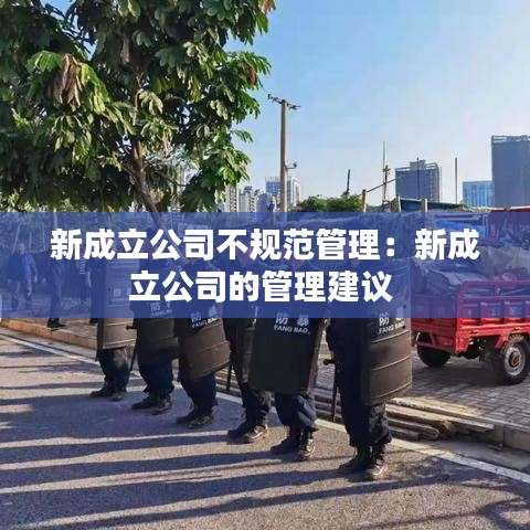 新成立公司不規(guī)范管理：新成立公司的管理建議 