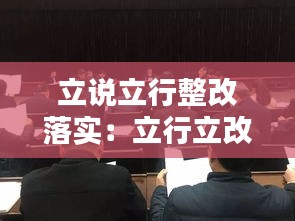 立說立行整改落實(shí)：立行立改落實(shí)情況 