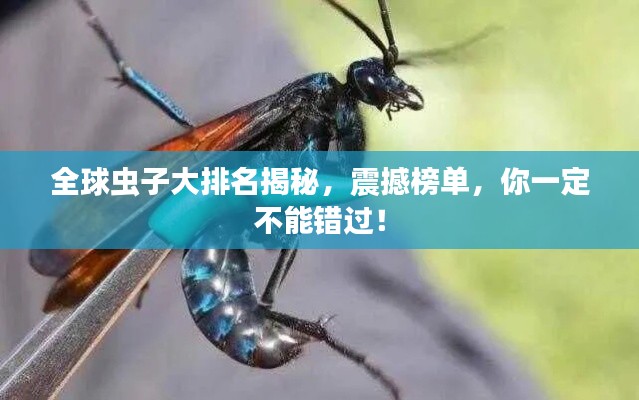 全球蟲子大排名揭秘，震撼榜單，你一定不能錯過！