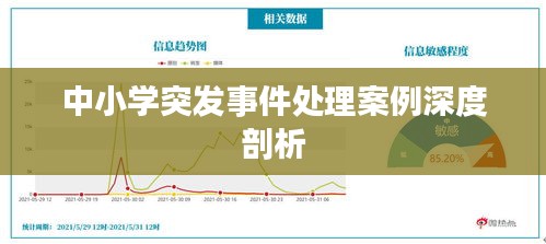 中小學突發(fā)事件處理案例深度剖析