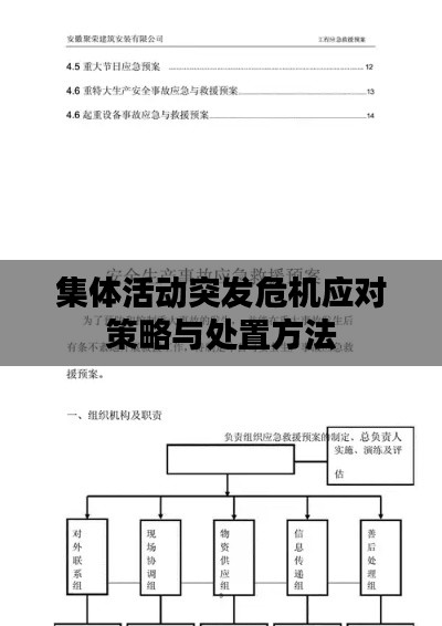 集體活動突發(fā)危機(jī)應(yīng)對策略與處置方法