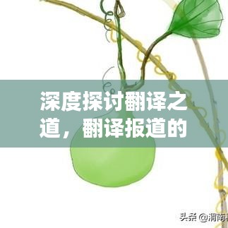 深度探討翻譯之道，翻譯報道的奧秘解析