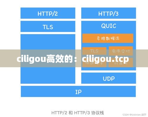 ciligou高效的：ciligou.tcp 