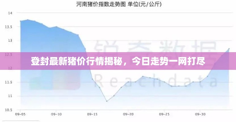 登封最新豬價(jià)行情揭秘，今日走勢(shì)一網(wǎng)打盡