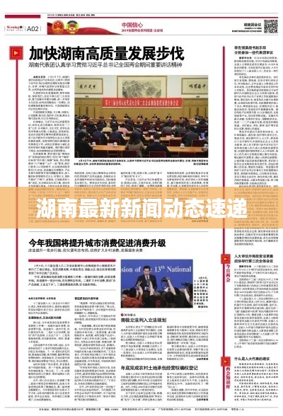 湖南最新新聞動態(tài)速遞