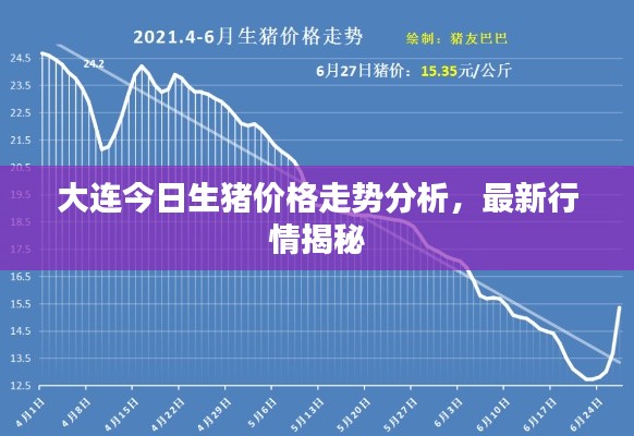 大連今日生豬價格走勢分析，最新行情揭秘