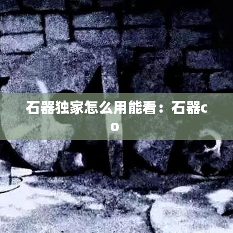 石器獨家怎么用能看：石器co 