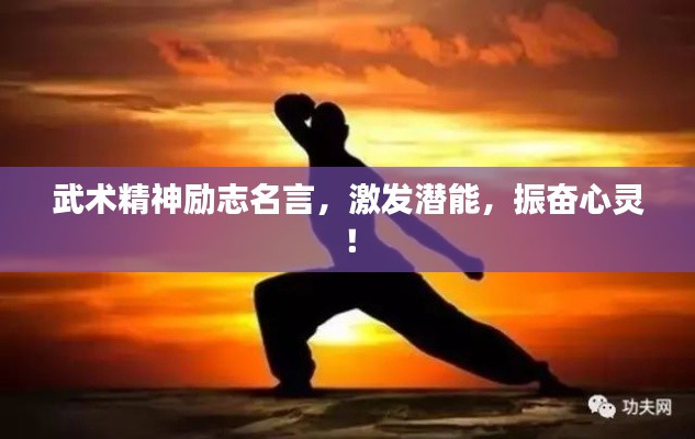 武術(shù)精神勵(lì)志名言，激發(fā)潛能，振奮心靈！