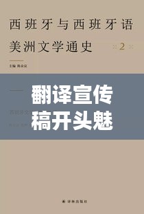 翻譯宣傳稿開頭魅力揭秘，技巧與藝術(shù)完美結(jié)合！