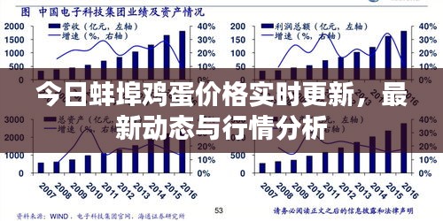 今日蚌埠雞蛋價(jià)格實(shí)時(shí)更新，最新動(dòng)態(tài)與行情分析