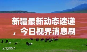 新疆最新動態(tài)速遞，今日視界消息刷新認知