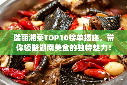 瑞麗湘菜TOP10榜單揭曉，帶你領(lǐng)略湖南美食的獨(dú)特魅力！