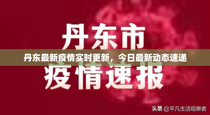 丹東最新疫情實時更新，今日最新動態(tài)速遞