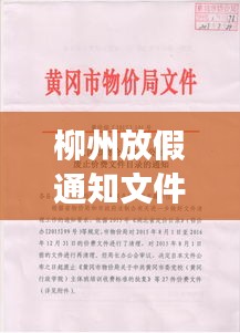 柳州放假通知文件全面解讀