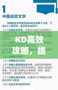 KD高效攻略，提升效率的實(shí)用指南全解析