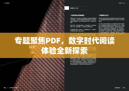 專題聚焦PDF，數(shù)字時代閱讀體驗全新探索