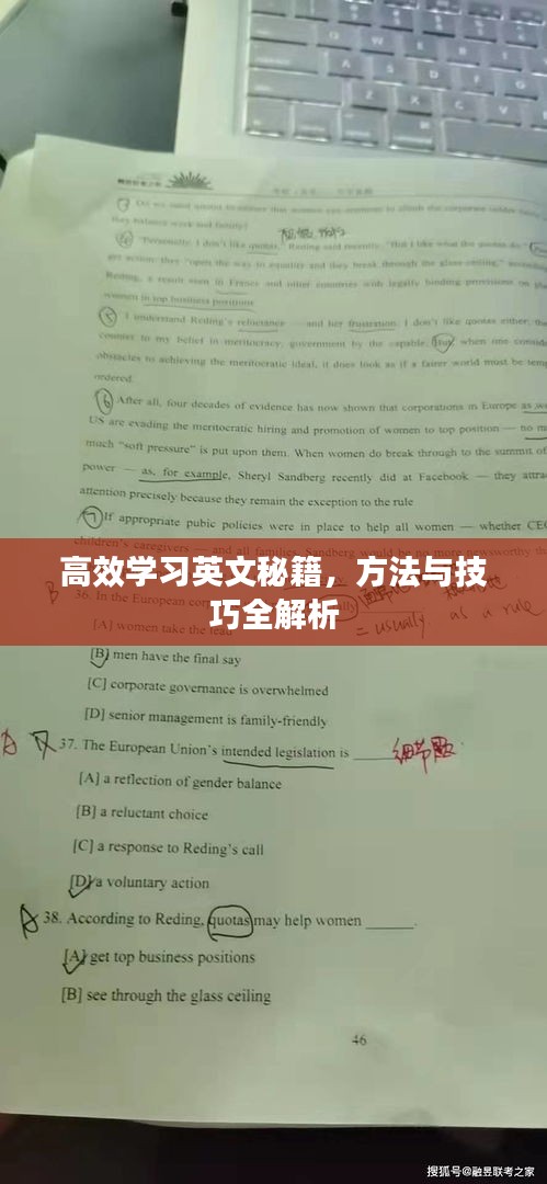 高效學(xué)習(xí)英文秘籍，方法與技巧全解析