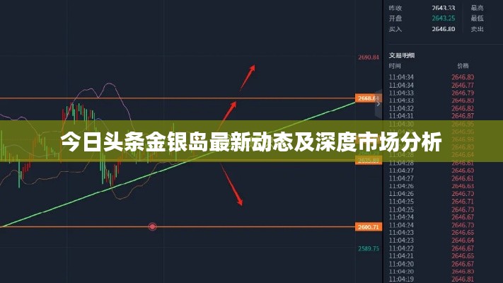 今日頭條金銀島最新動(dòng)態(tài)及深度市場(chǎng)分析