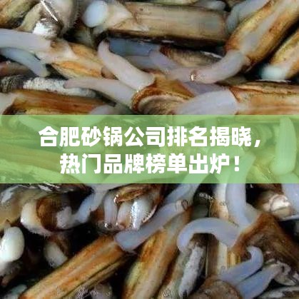 合肥砂鍋公司排名揭曉，熱門品牌榜單出爐！