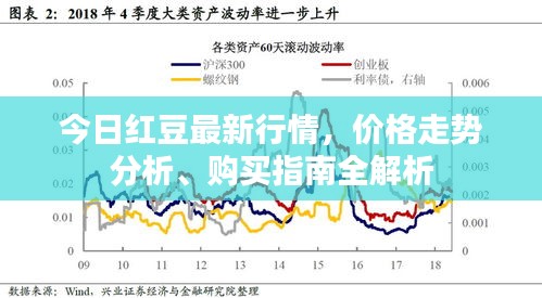 今日紅豆最新行情，價(jià)格走勢(shì)分析、購(gòu)買指南全解析