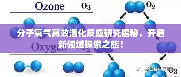 分子氧氣高效活化反應(yīng)研究揭秘，開啟新領(lǐng)域探索之旅！