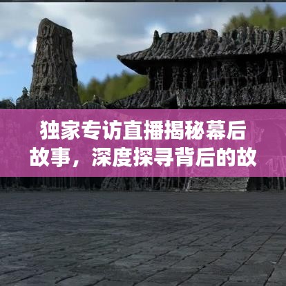 獨家專訪直播揭秘幕后故事，深度探尋背后的故事