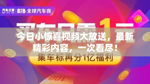 今日小驚喜視頻大放送，最新精彩內(nèi)容，一次看盡！