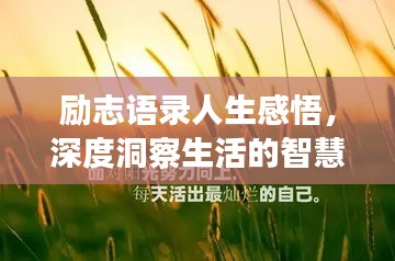 勵志語錄人生感悟，深度洞察生活的智慧