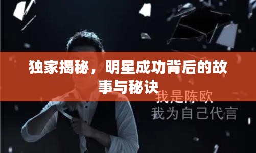 獨(dú)家揭秘，明星成功背后的故事與秘訣