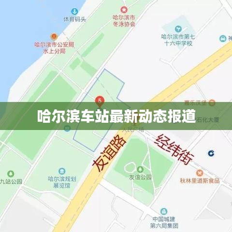 哈爾濱車站最新動態(tài)報道