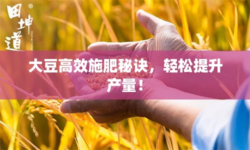 大豆高效施肥秘訣，輕松提升產(chǎn)量！