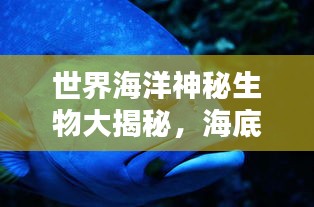 世界海洋神秘生物大揭秘，海底生物的未知排名，探索未知世界！