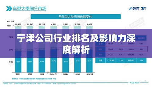 寧津公司行業(yè)排名及影響力深度解析