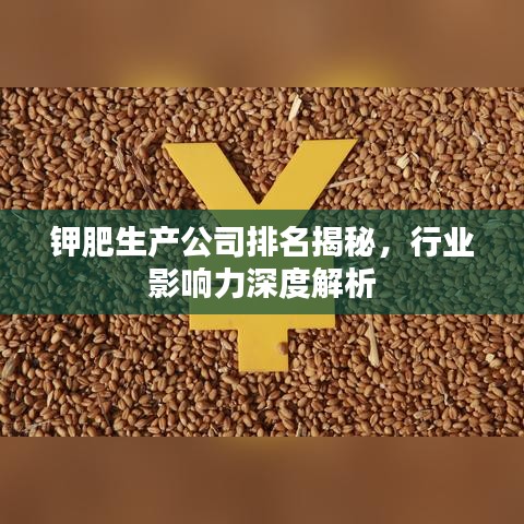 鉀肥生產(chǎn)公司排名揭秘，行業(yè)影響力深度解析