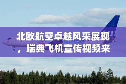 北歐航空卓越風(fēng)采展現(xiàn)，瑞典飛機(jī)宣傳視頻來襲！