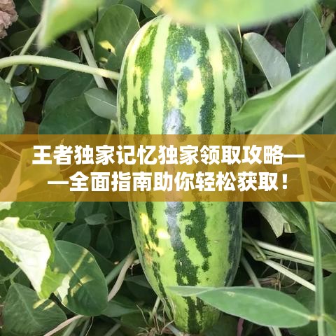 王者獨家記憶獨家領取攻略——全面指南助你輕松獲?。? class=