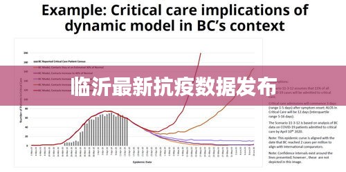 臨沂最新抗疫數(shù)據(jù)發(fā)布