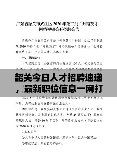 韶關(guān)今日人才招聘速遞，最新職位信息一網(wǎng)打盡