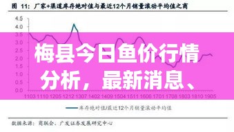 梅縣今日魚價行情分析，最新消息、市場走勢與影響因素全解析