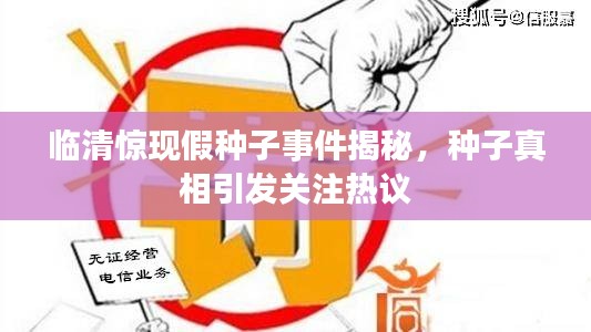 臨清驚現假種子事件揭秘，種子真相引發(fā)關注熱議