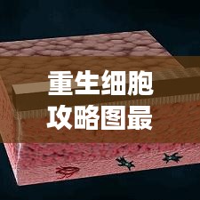 重生細(xì)胞攻略圖最新版，游戲指南與戰(zhàn)術(shù)深度解析