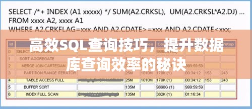 高效SQL查詢技巧，提升數(shù)據(jù)庫查詢效率的秘訣