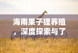 海南果子貍養(yǎng)殖，深度探索與了解