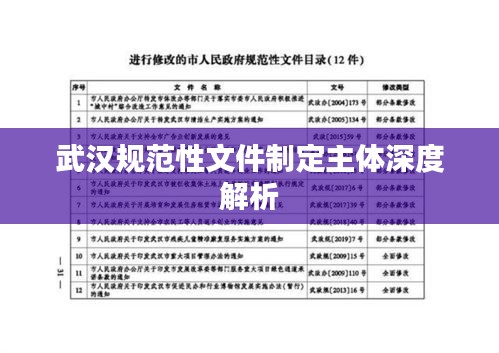 武漢規(guī)范性文件制定主體深度解析