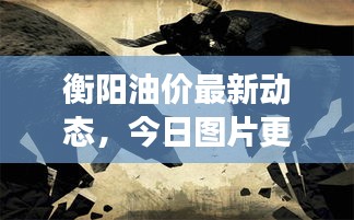 衡陽油價(jià)最新動(dòng)態(tài)，今日?qǐng)D片更新及市場(chǎng)深度解析