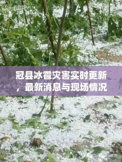 冠縣冰雹災害實時更新，最新消息與現場情況