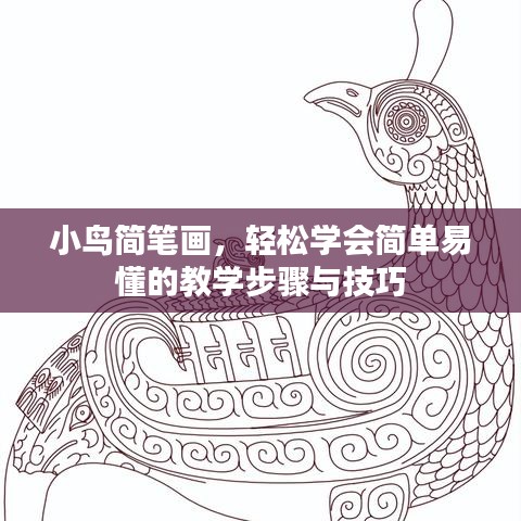 小鳥簡筆畫，輕松學(xué)會簡單易懂的教學(xué)步驟與技巧